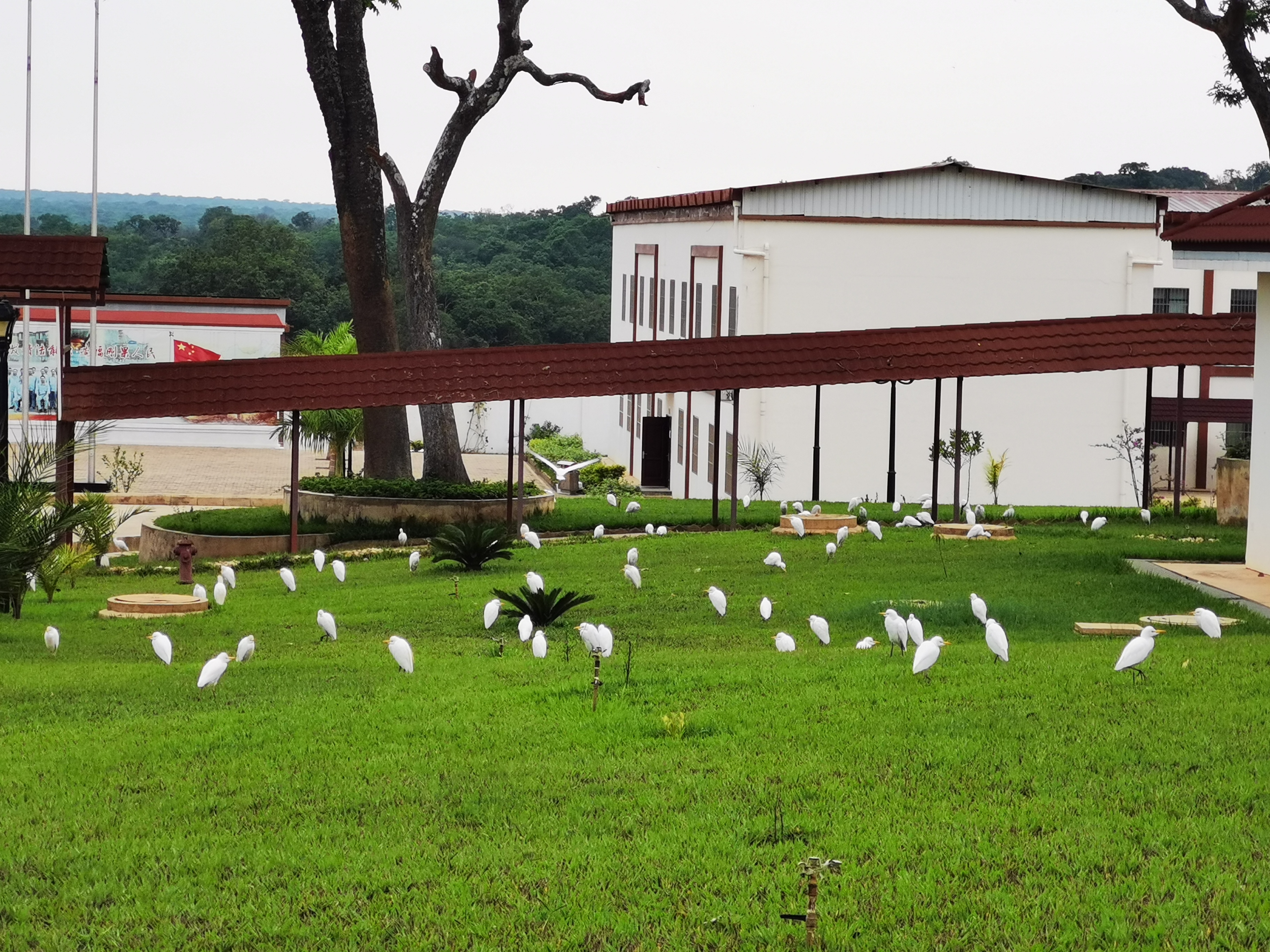 首页|必赢网络游戏平台官方网站