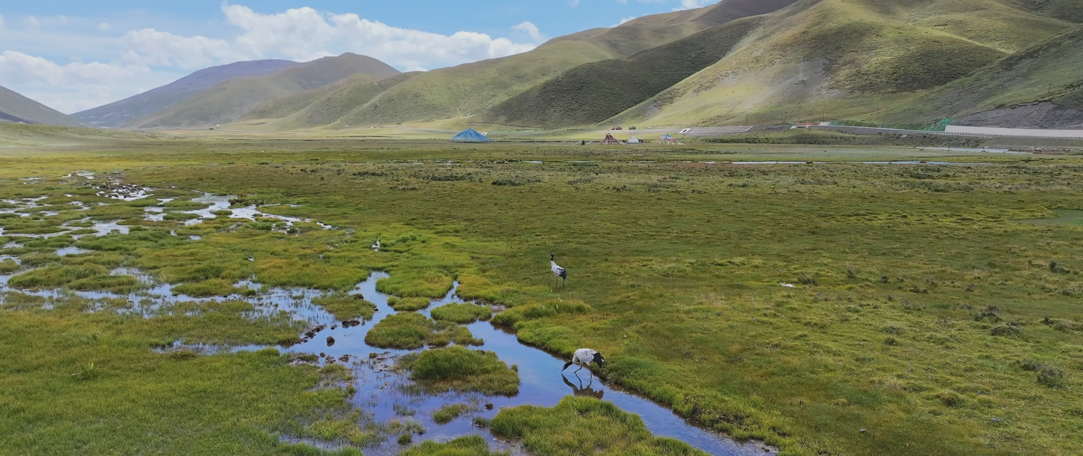 首页|必赢网络游戏平台官方网站