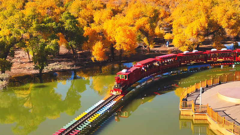 首页|必赢网络游戏平台官方网站