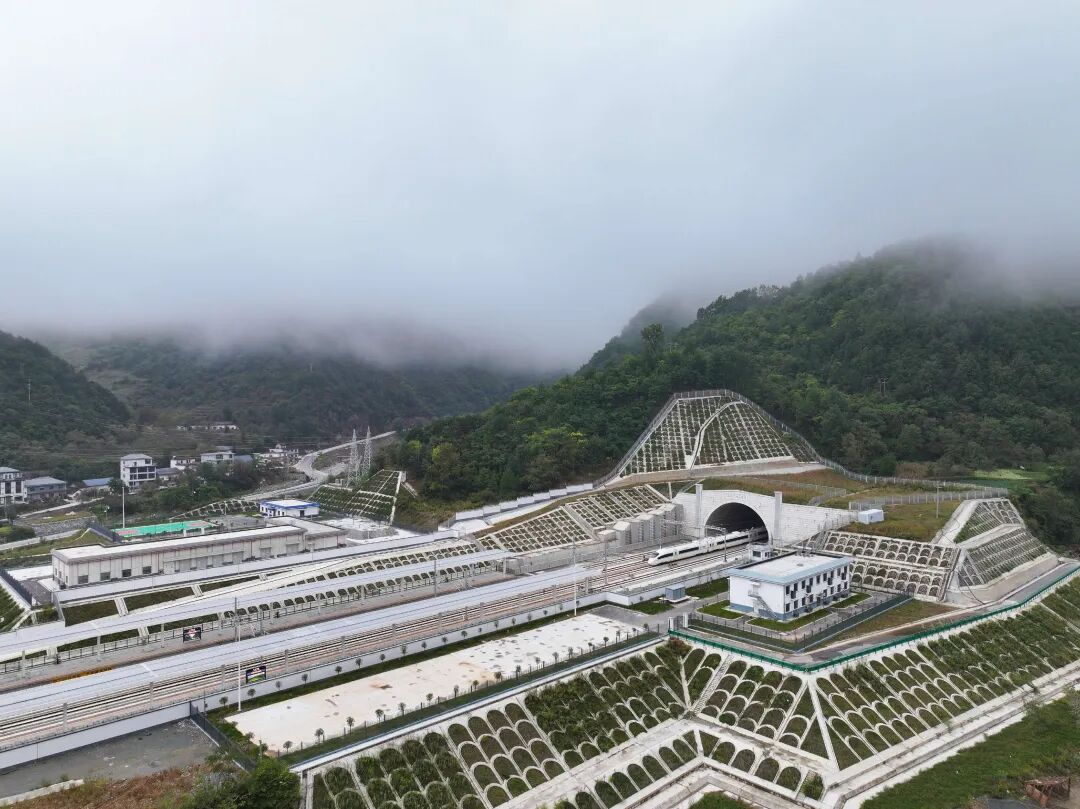 首页|必赢网络游戏平台官方网站